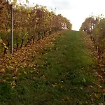 Monferrato La Casa Sui Tetti Bed & Breakfast