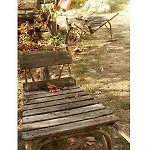 Bed & Breakfast Monferrato La Casa Sui Tetti 3*