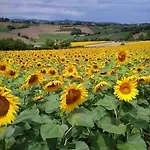 Monferrato La Casa Sui Tetti