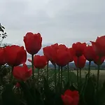 Monferrato La Casa Sui Tetti 3* Murisengo
