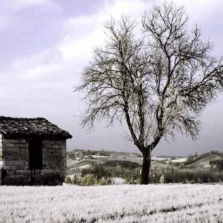 Monferrato La Casa Sui Tetti ベッド・アンド・ブレックファスト 3*