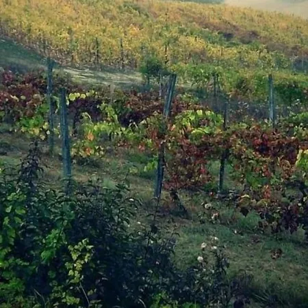 Monferrato La Casa Sui Tetti 무리센고