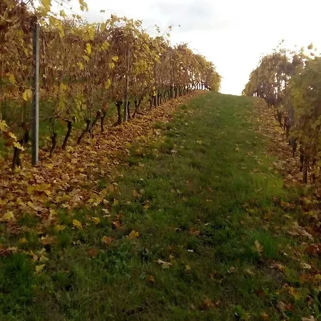 Monferrato La Casa Sui Tetti ベッド・アンド・ブレックファスト