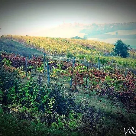 Monferrato La Casa Sui Tetti Bed & Breakfast 3*