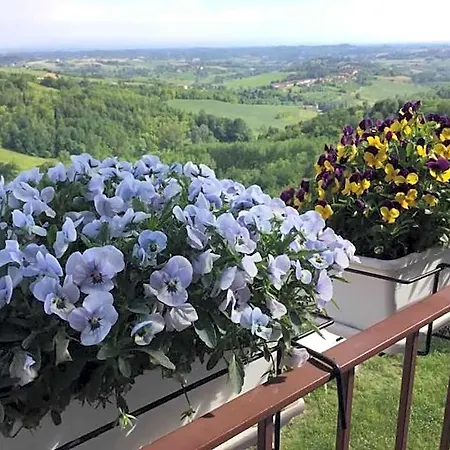 Monferrato La Casa Sui Tetti 3*
