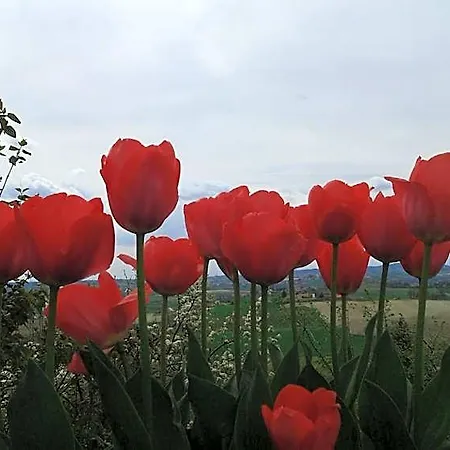 Monferrato La Casa Sui Tetti 3*