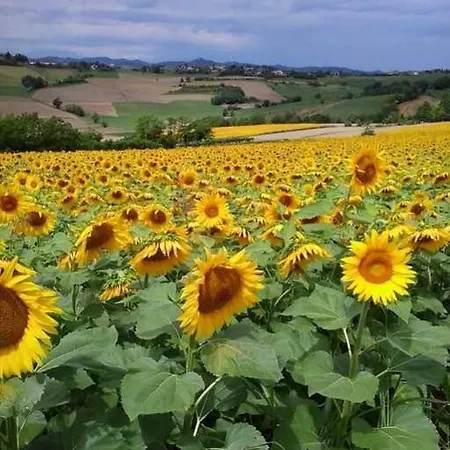 Monferrato La Casa Sui Tetti