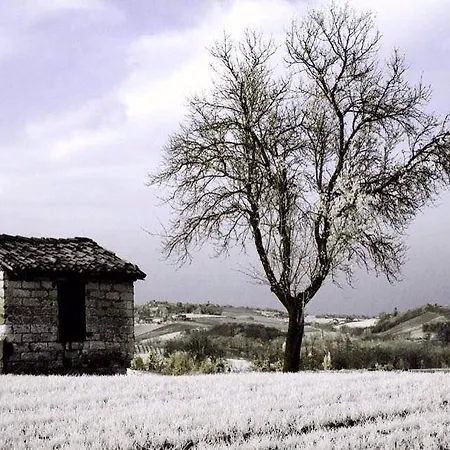 Monferrato La Casa Sui Tetti ベッド・アンド・ブレックファスト
