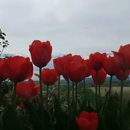 Monferrato La Casa Sui Tetti 3* Murisengo