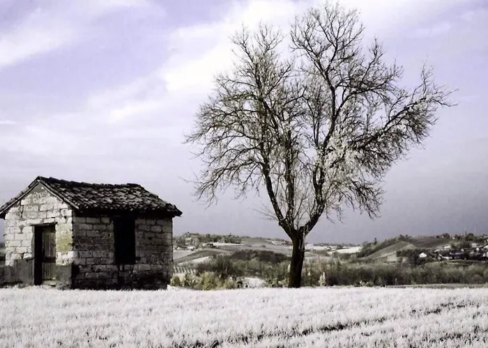 Monferrato La Casa Sui Tetti Panzió 3*