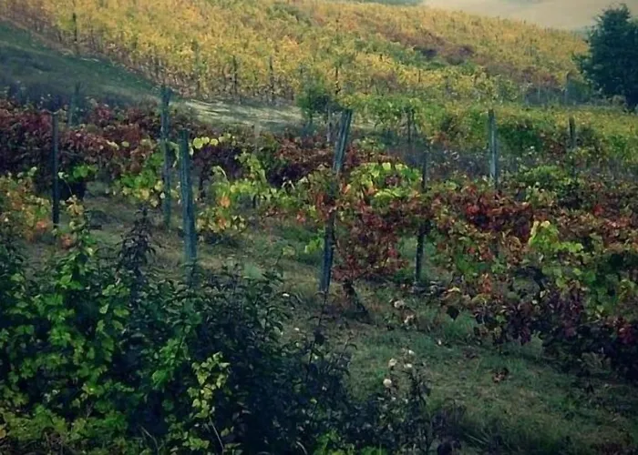 Monferrato La Casa Sui Tetti Murisengo