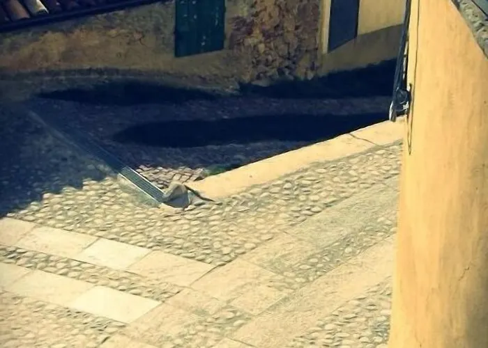Monferrato La Casa Sui Tetti