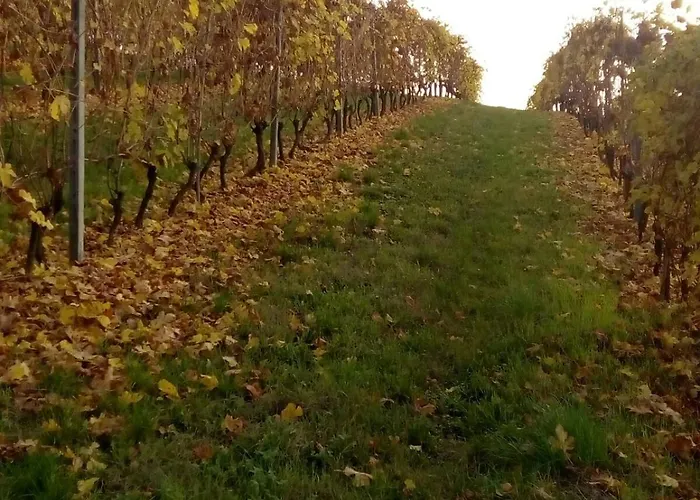 Monferrato La Casa Sui Tetti Panzió