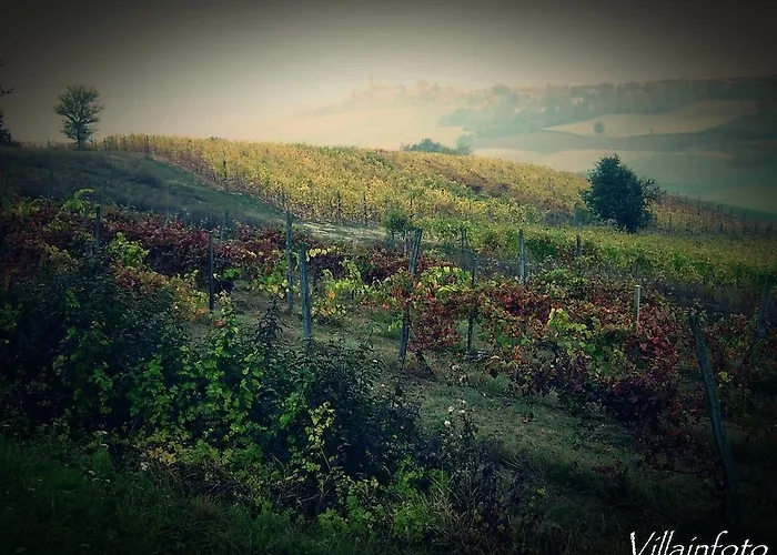 Monferrato La Casa Sui Tetti Frühstückspension Murisengo