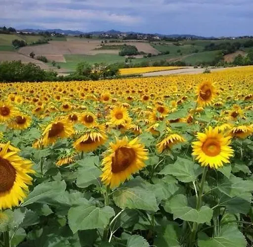 Monferrato La Casa Sui Tetti