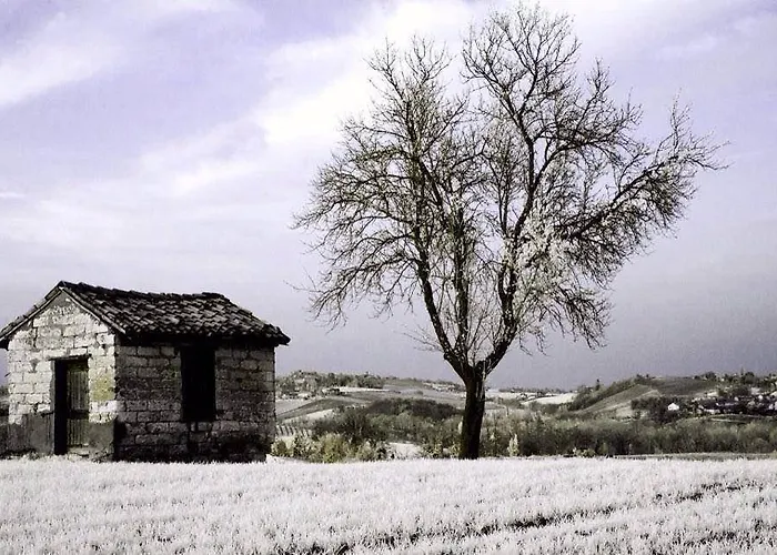 Monferrato La Casa Sui Tetti Frühstückspension