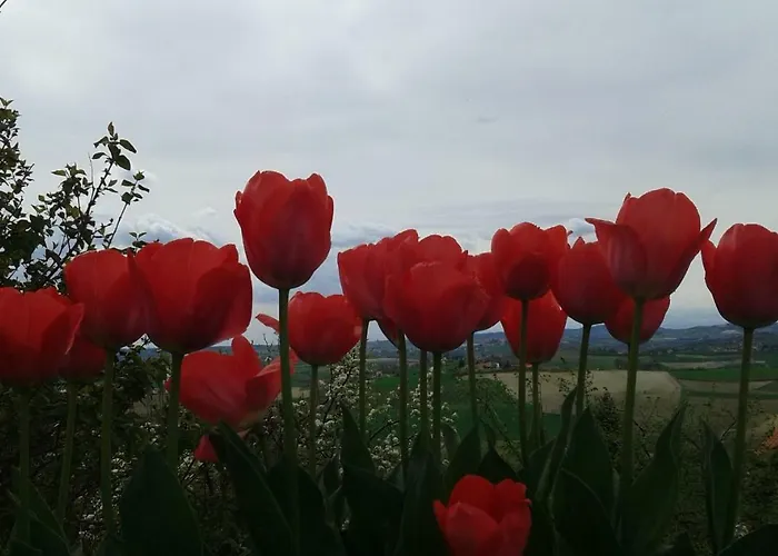 Monferrato La Casa Sui Tetti 3* Murisengo